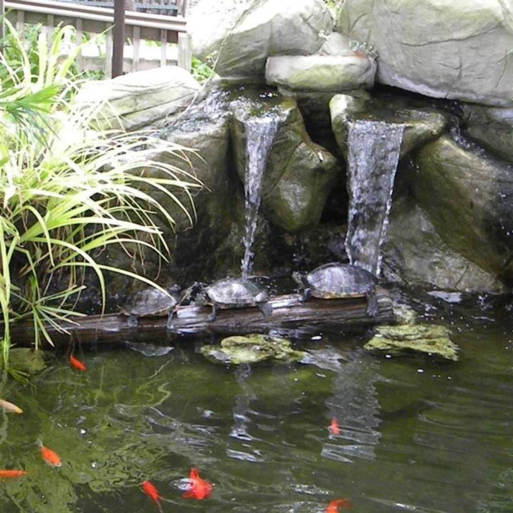 Meet your Posher, Barbara